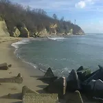 Kami Beala