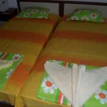Kami Beala