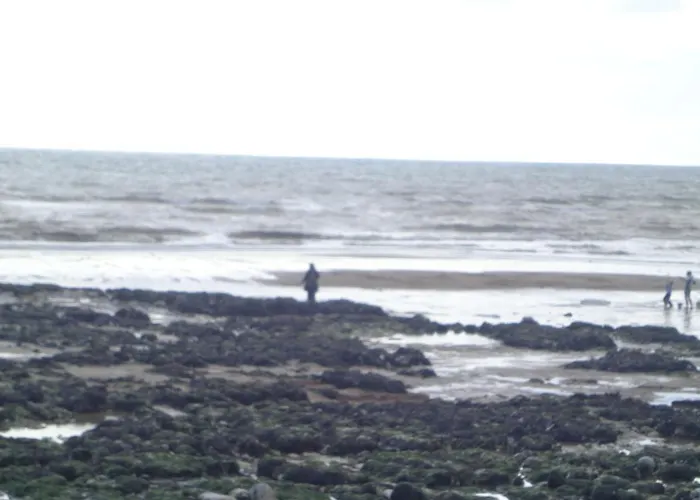 Къща за гости ками 3*